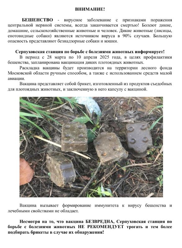 Листовка вакцина.JPG