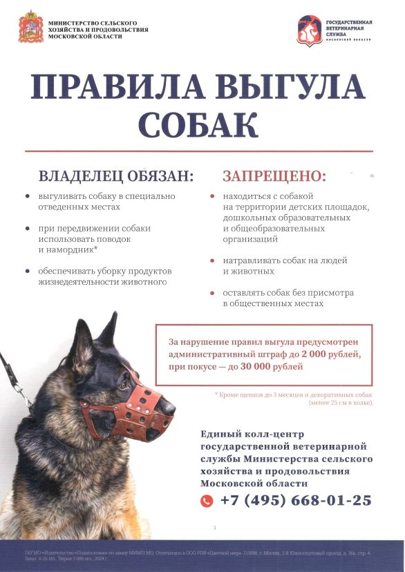 правила выгула собак.JPG